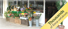 Thousands of florists worldwide