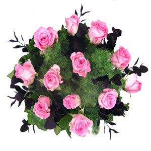 Dozen pink roses