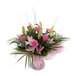 spring-beauty