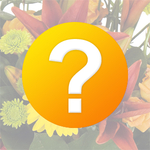 florist-choice
