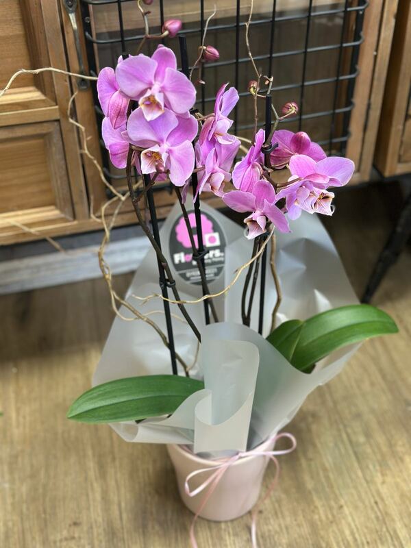 Flowers delivered to customer