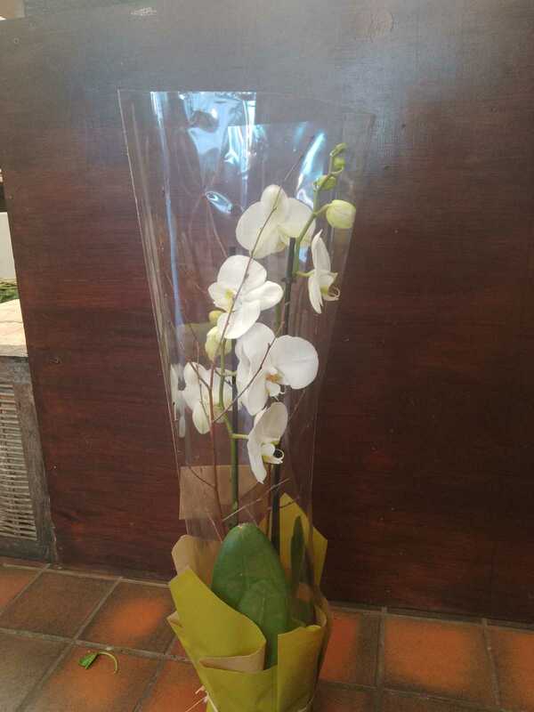 Flowers delivered to customer