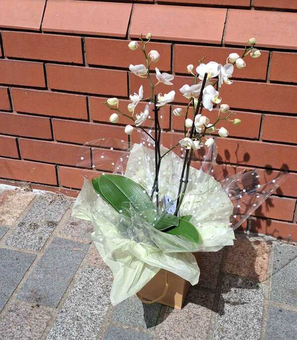 Flowers delivered to customer