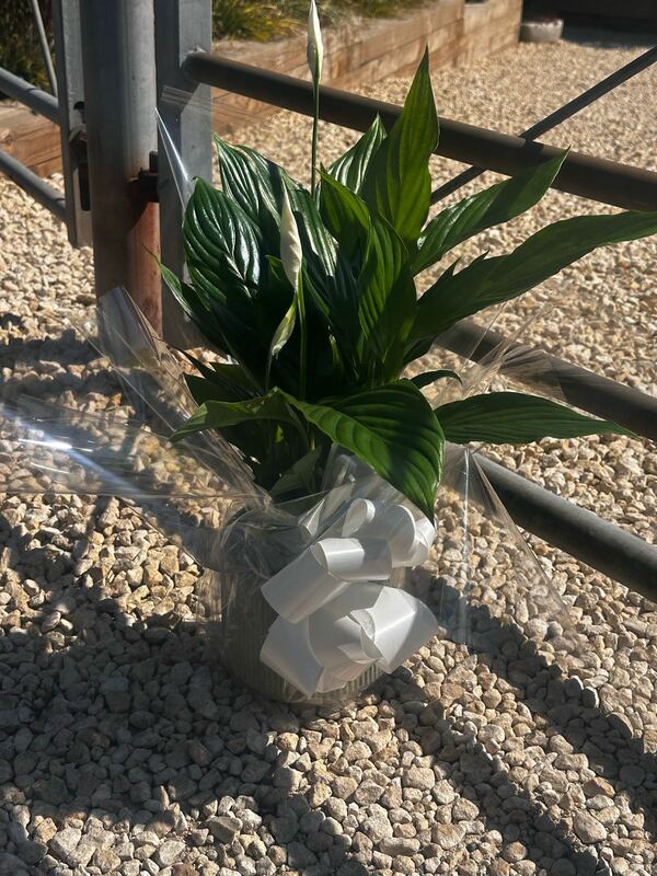 Flowers delivered to customer